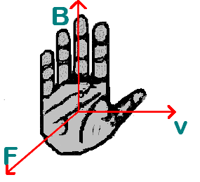 ban tay Nghệ thuật xem tướng số bằng tay: Lòng bàn tay