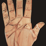 Xem tướng tay: Các ngón tay