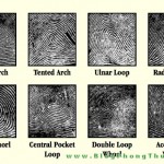 Xem tướng tay: Các vân tay